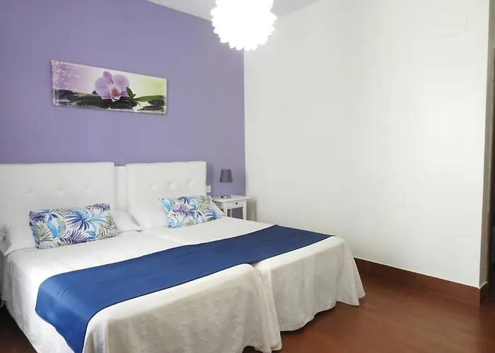 Amelia Habitaciones
